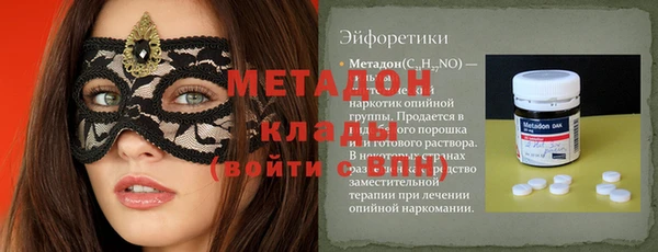 индика Струнино