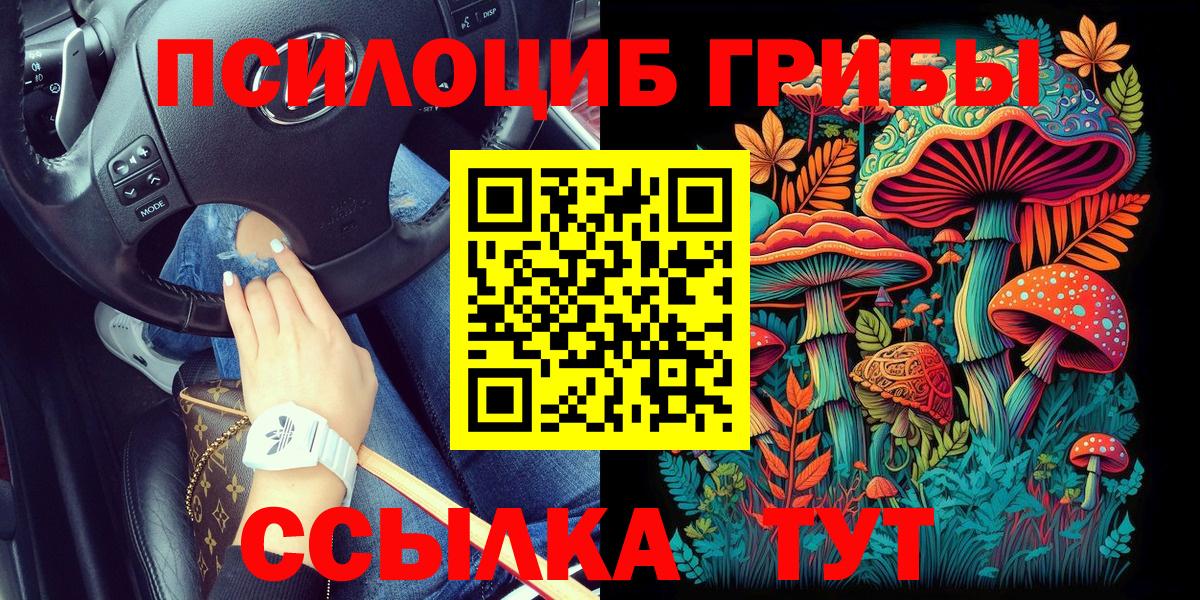 Галлюциногенные грибы GOLDEN TEACHER Вятские Поляны