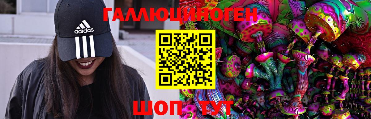 Вятские Поляны  Псилоцибиновые грибы мицелий  Вход с VPN  Галлюциногенные грибы прущие грибы 